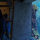 Jessica Jones (Kristen Ritter) checks out an aquarium for a hot lead.